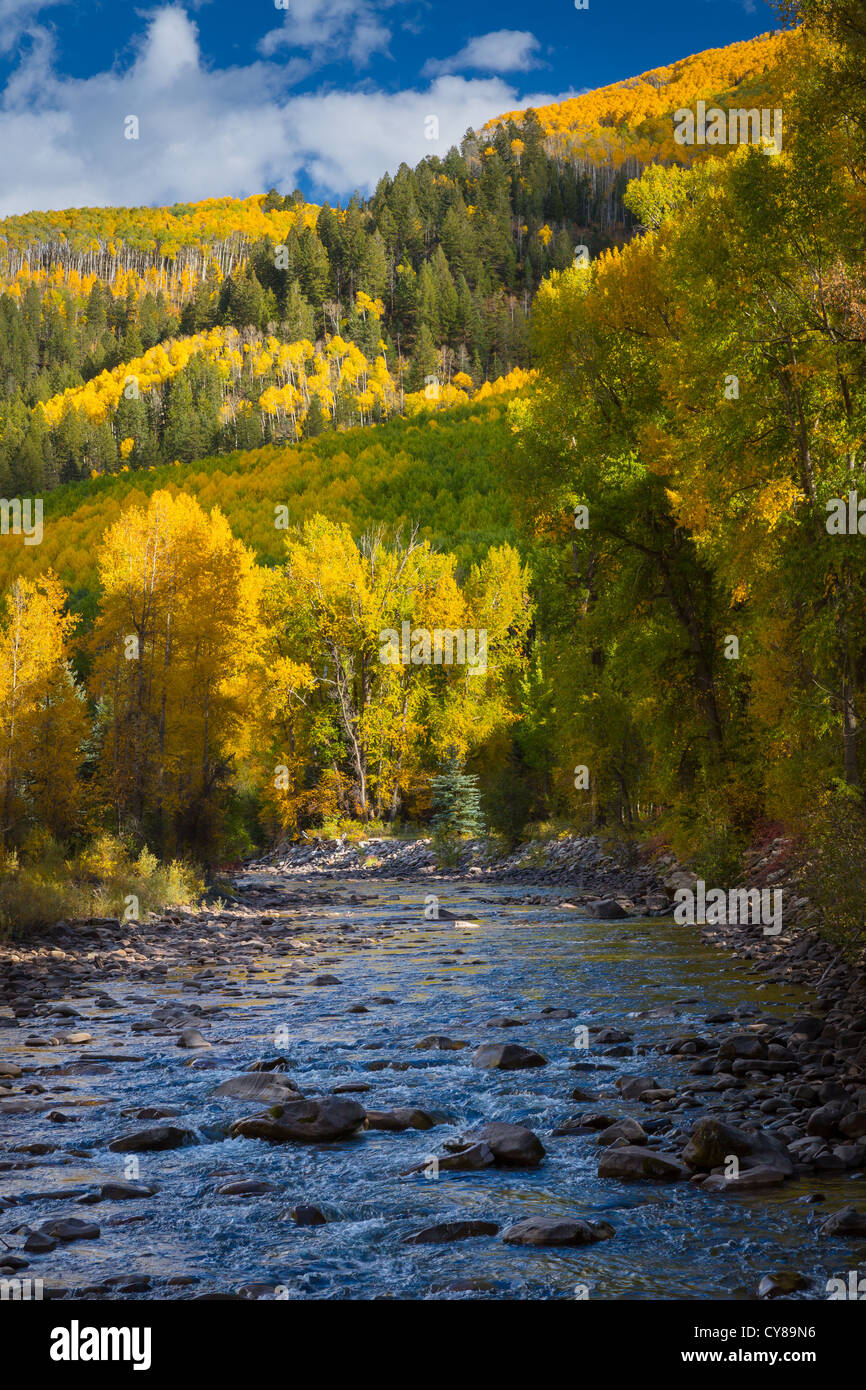 Espen am Hang in den San Juan Mountains von Colorado mit kleiner Fluss im Vordergrund Stockfoto