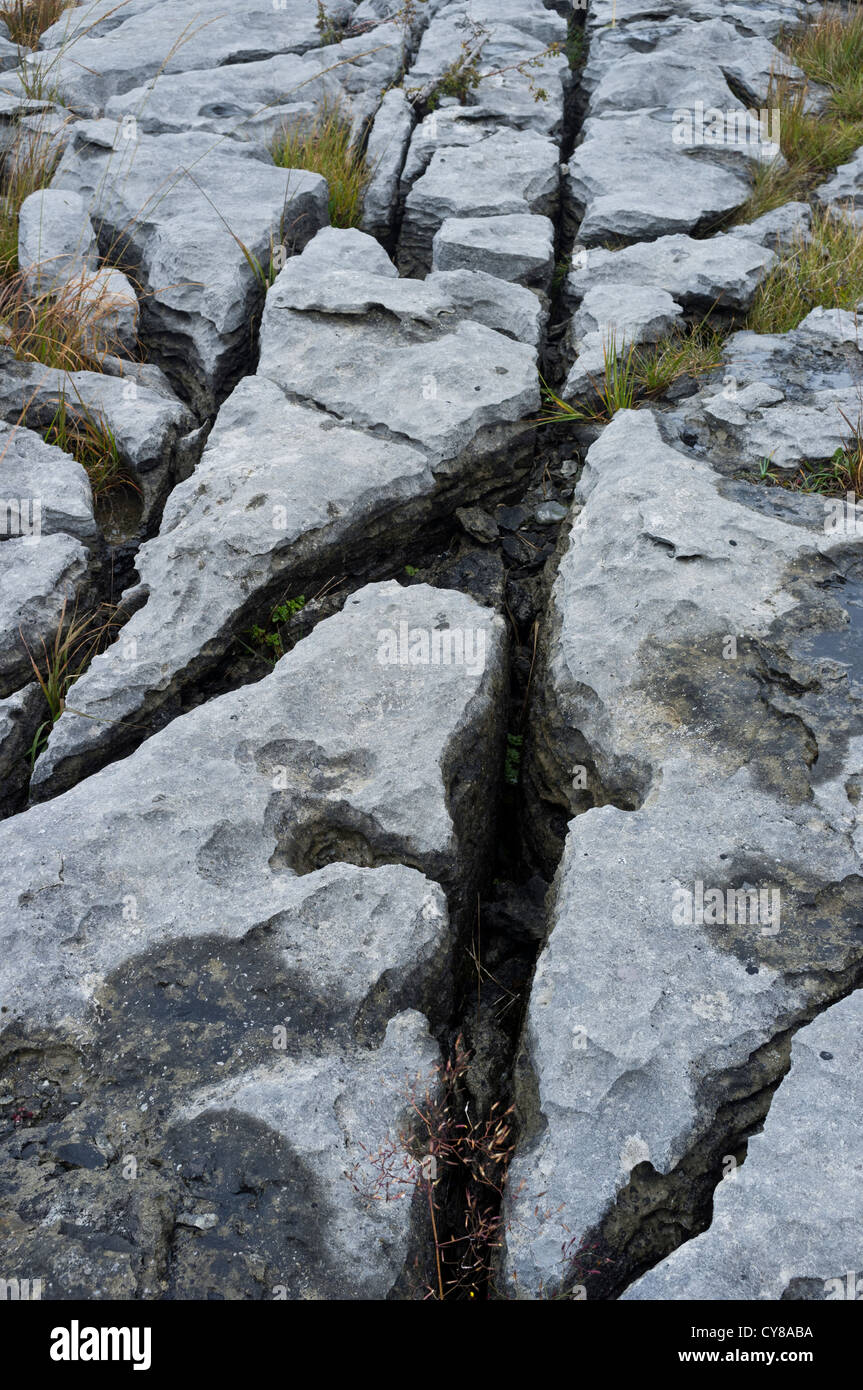 der Burren im County Clare, Irland Stockfoto