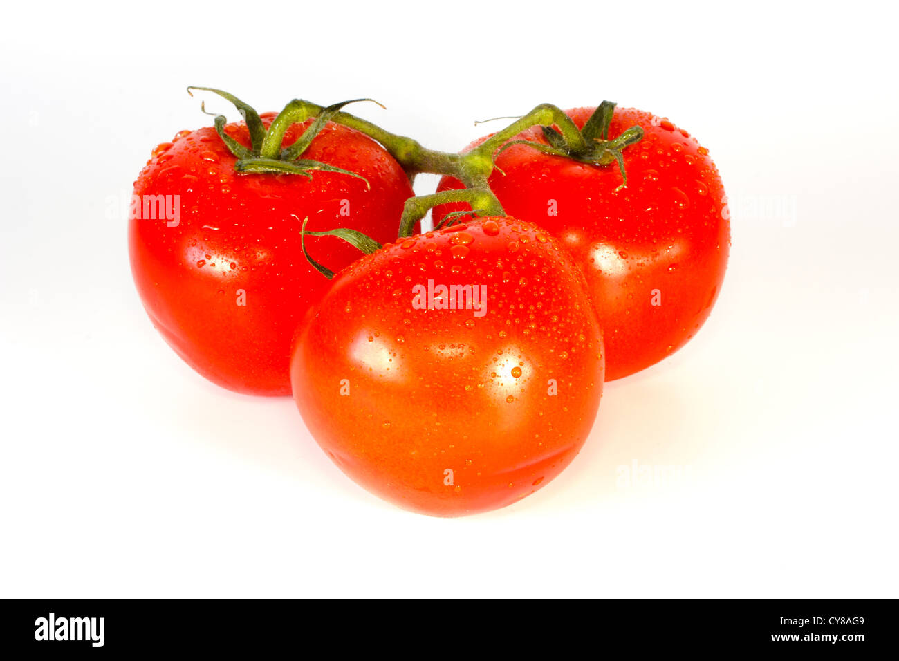 Drei frisch gewaschen nur strauchtomaten isoliert auf weiss Stockfoto