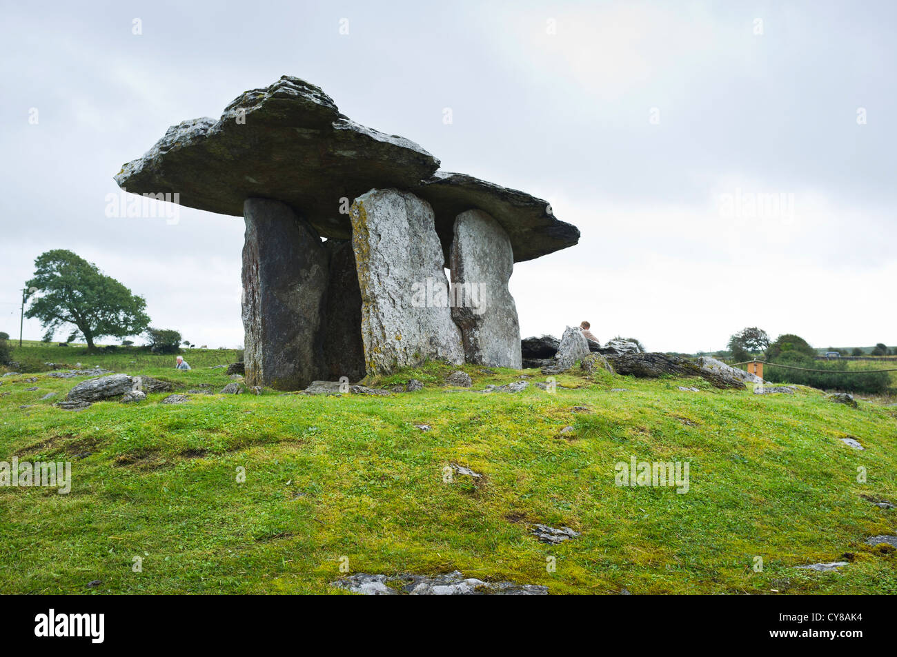 Poulnabrone Portal Grab in die Burren im County Clare, Irland Stockfoto