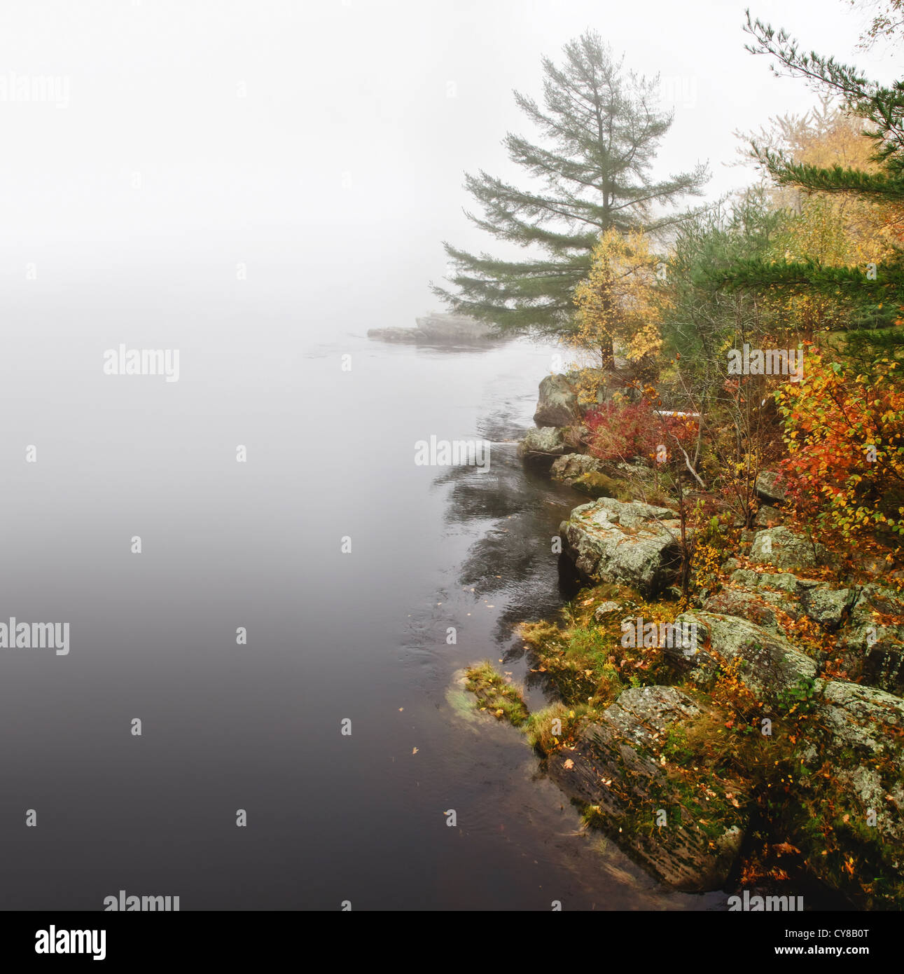 Nebligen Herbsttag am Fluss Stockfoto