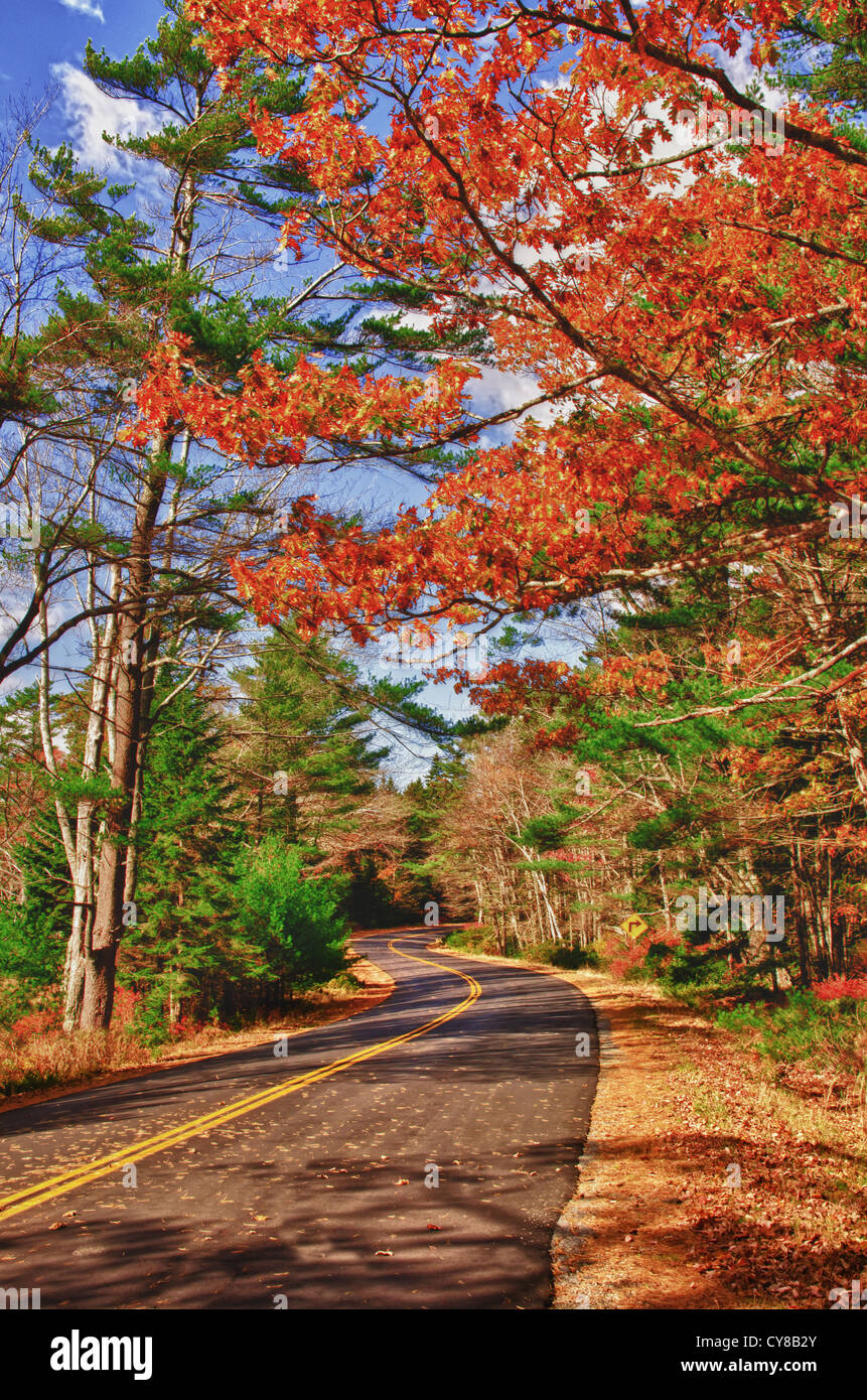 Herbst Serpentinenstraße in Neu-England Stockfoto