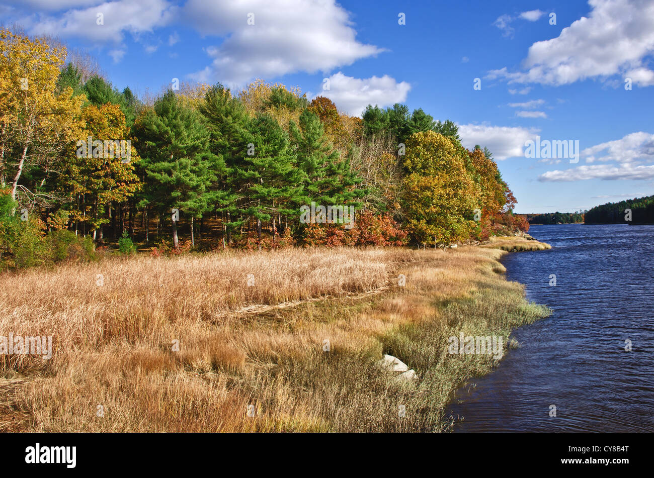 Herbstfarben am Fluss Stockfoto