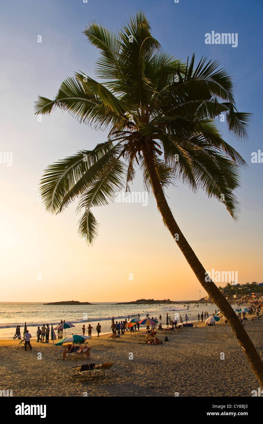 Vertikale Ansicht einer Palme am Lighthouse Beach bei Sonnenuntergang in Kovalam, Kerala. Stockfoto