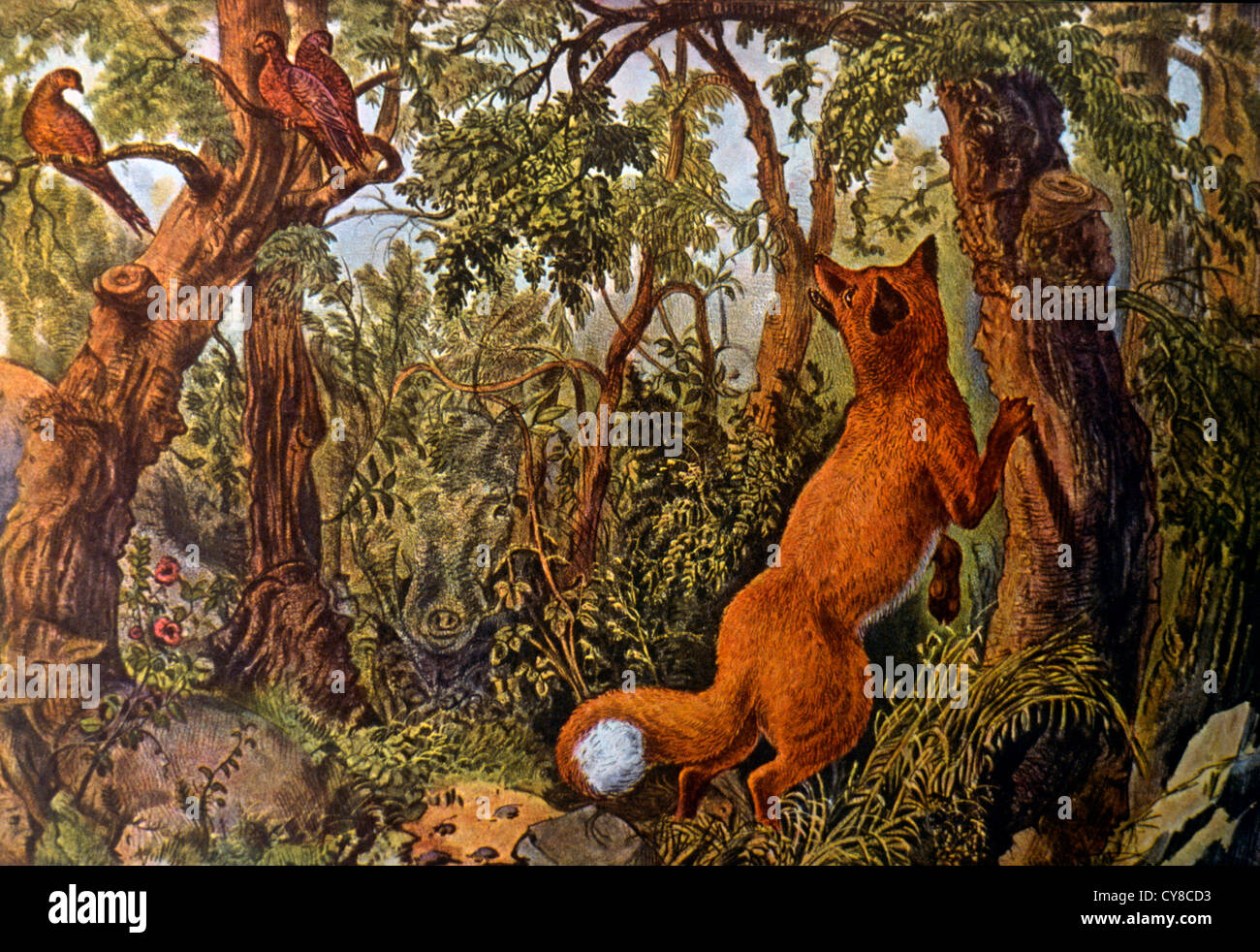 Das verwirrt Fox, Currier & Ives, Lithographie, ca. 1872 Stockfoto