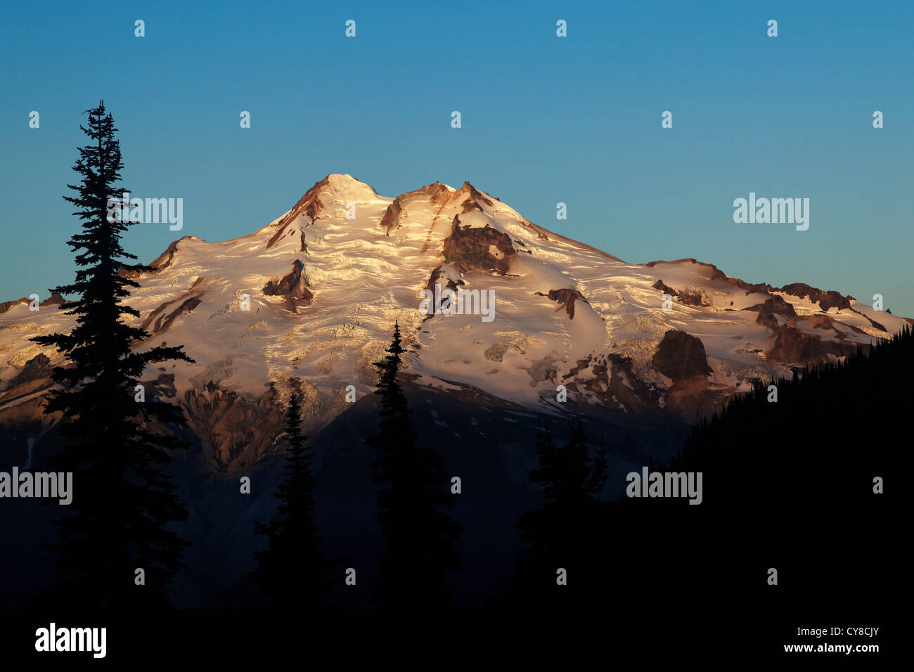 Ostwand des Glacier Peak gesehen von Buck Creek Pass, Cascade Mountains, Snohomish County, Washington Stockfoto