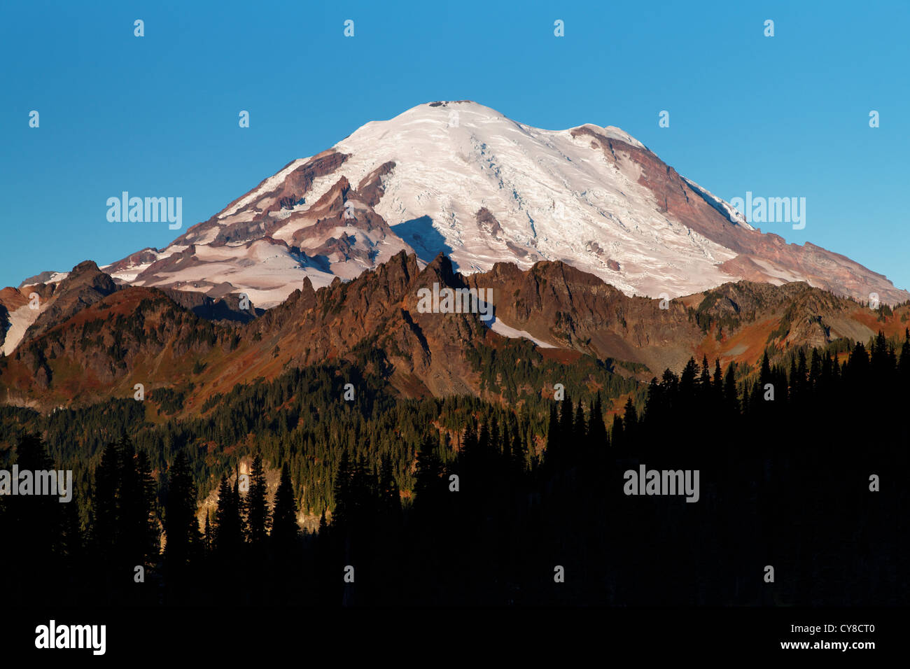 Mount Rainier an einem Herbstmorgen vom in der Nähe von Tipsoo Lake, Mount-Rainier-Nationalpark, Washington, USA Stockfoto