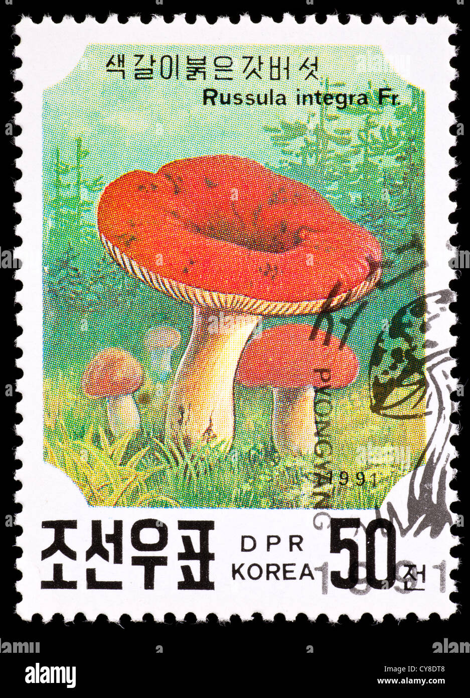 Briefmarke aus Nordkorea, die Darstellung der gesamten ubling Pilze (ubling Integra) Stockfoto