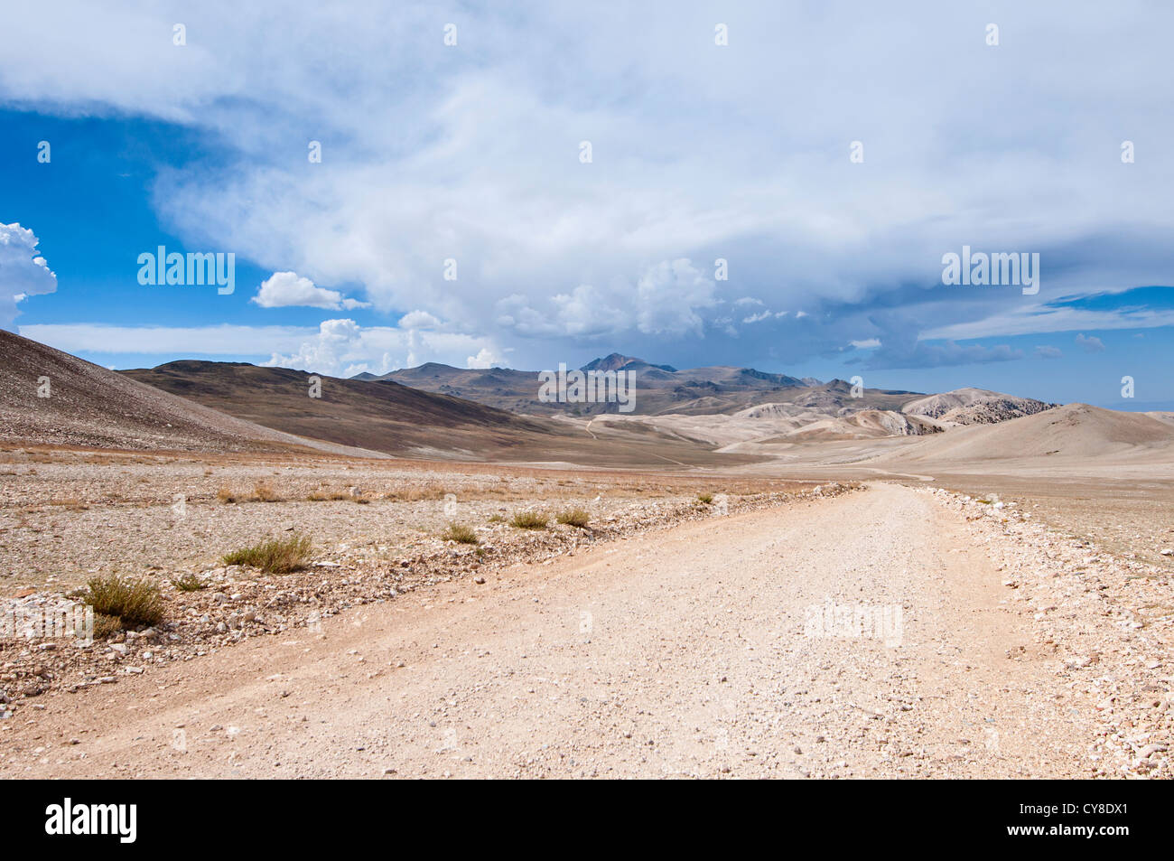 Blick auf die weißen Berge von der Inyo National Forest. Stockfoto