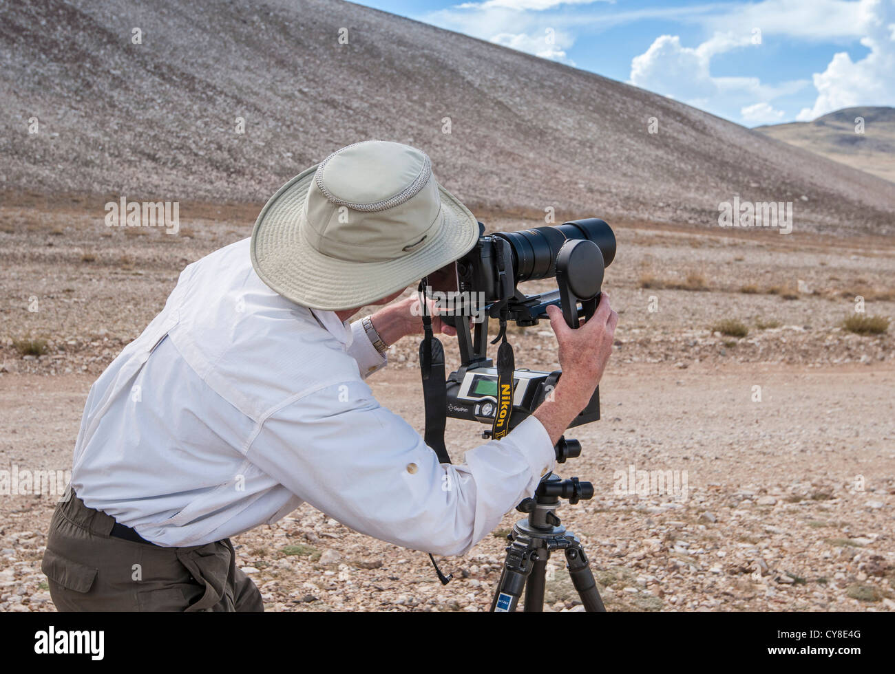 Blick auf die weißen Berge von der Inyo National Forest. Stockfoto