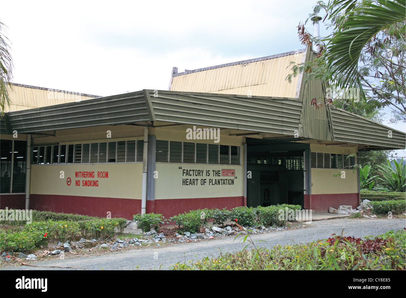 Tee-Verarbeitung-Fabrik in Sabah Tea Garden, Ranau, Sabah, Borneo, Malaysia, Südost-Asien Stockfoto