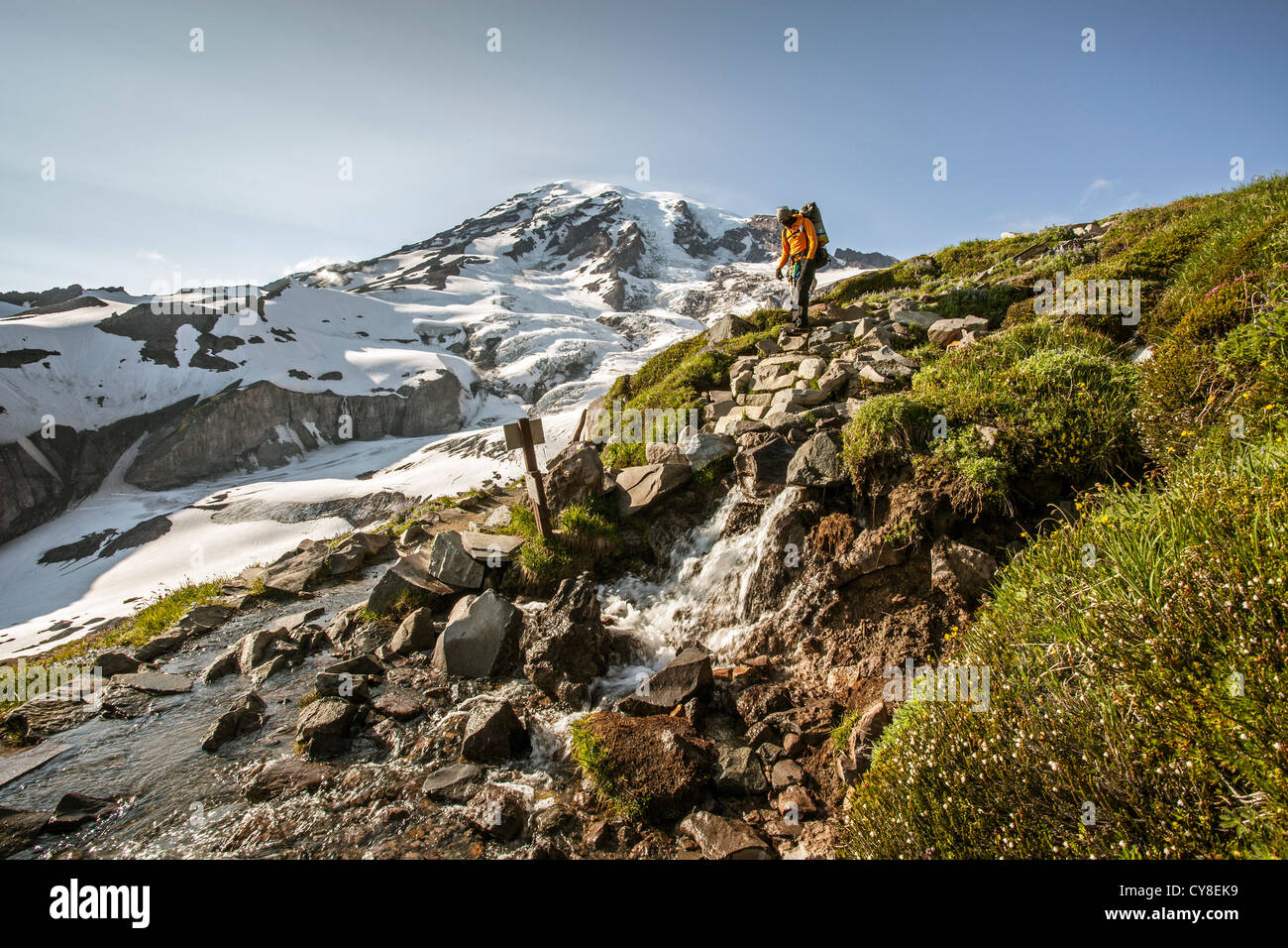 Skyline Trail. Stockfoto