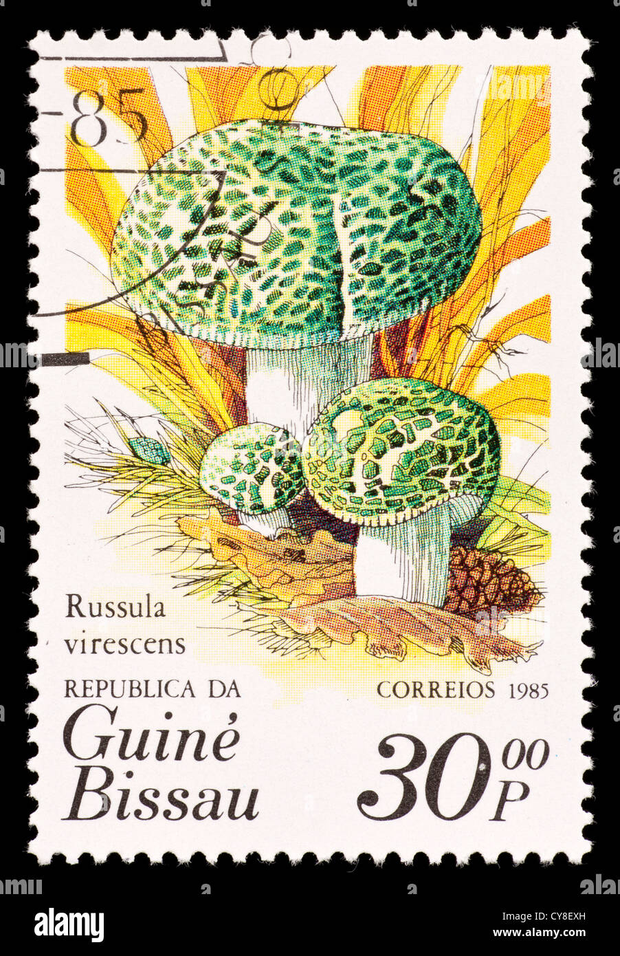 Briefmarke aus Guinea-Bissau Darstellung grünen ubling Pilze (ubling Virescens) Stockfoto
