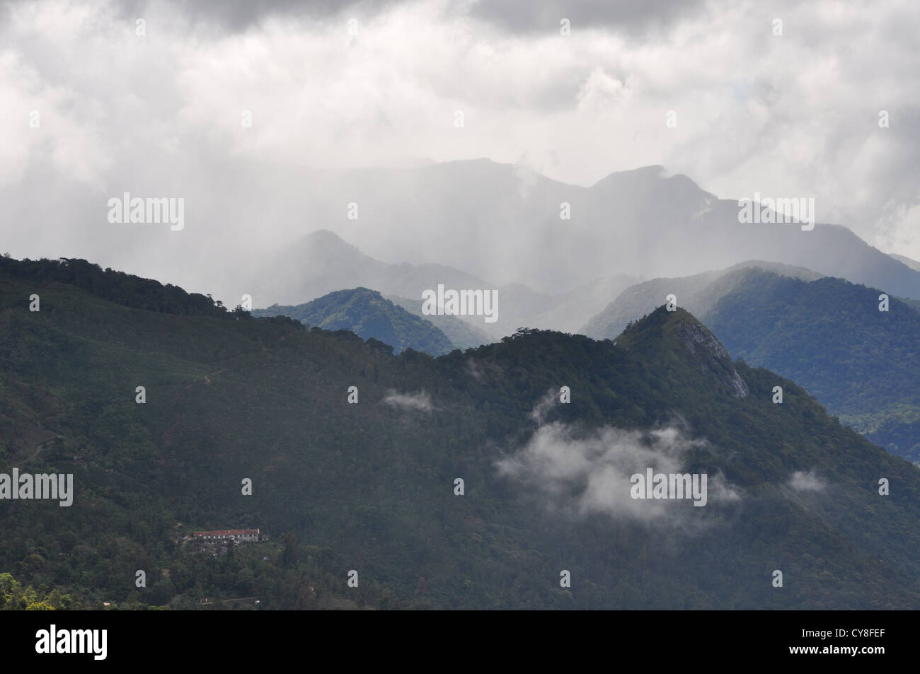 Ponmudi Hills, Western Ghats, Kerala Stockfoto