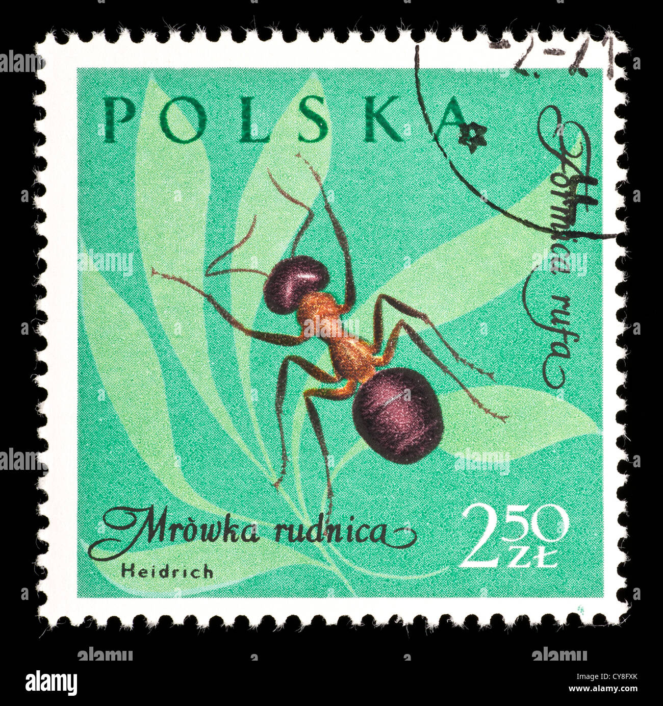 Briefmarke aus Polen, die Darstellung einer südlichen Waldameise oder Pferd Ameisen (Formica Rufa) Stockfoto