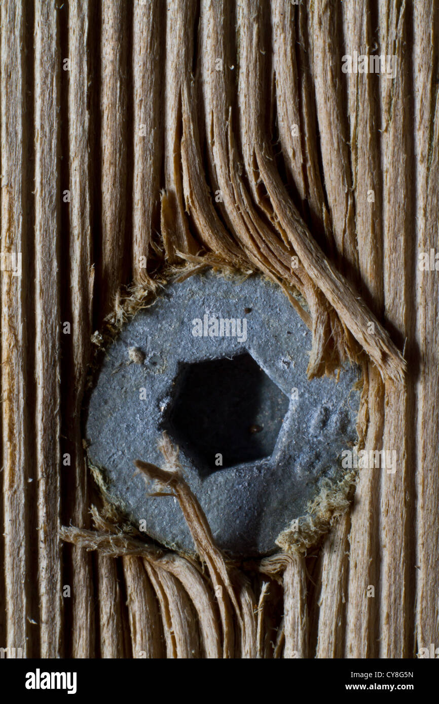 Nahaufnahme von einer Holzschraube Stockfoto