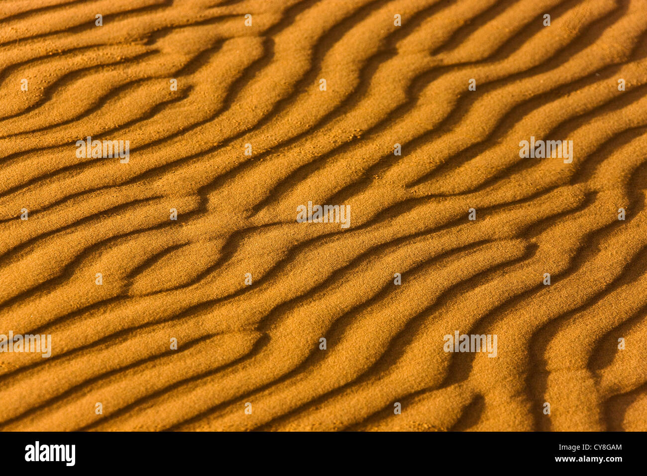 Sahara-Wüste, Erg Chebbi, Marokko Stockfoto