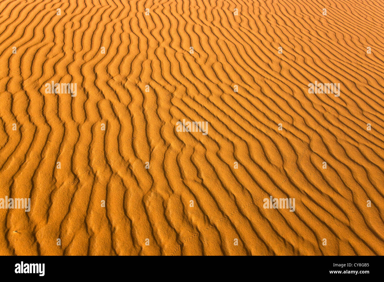 Sahara-Wüste, Erg Chebbi, Marokko Stockfoto