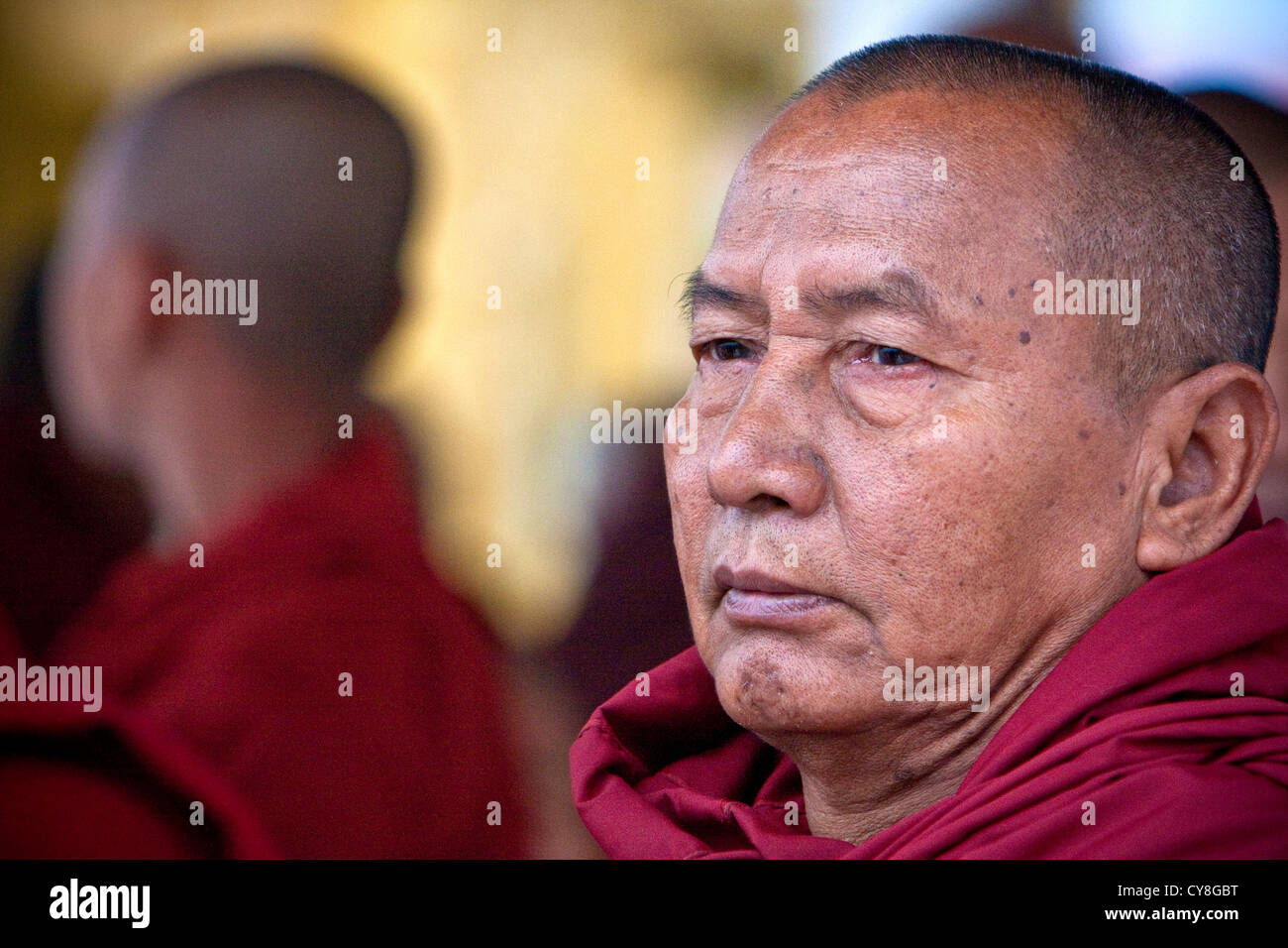 Myanmar, Burma. Burmesische buddhistischer Mönch, Alodaw Pauk Pagode, Nampan Dorf, Inle-See, Shan-Staat. Stockfoto