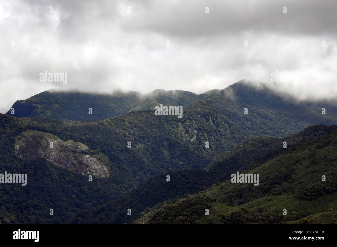 Die schöne Ponmudi-Hügel in Thiruvananthapuram Stockfoto