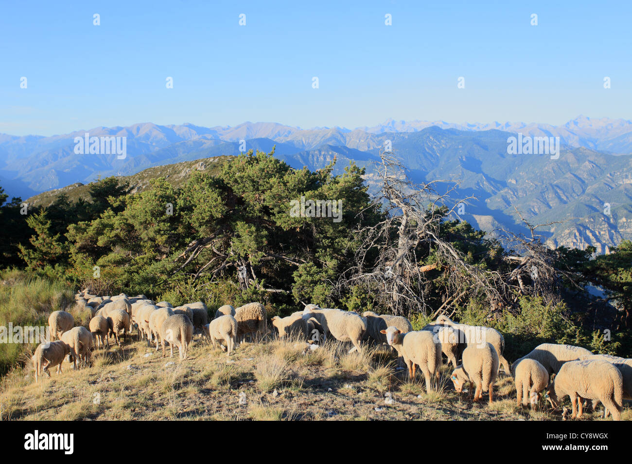 Bergige Landschaft der Alpes-MAritimes Stockfoto