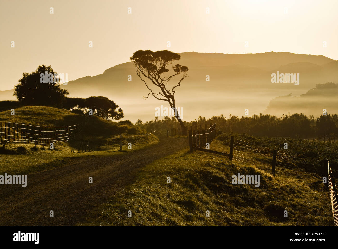Sonnenaufgang in Collingwood, eine Landschaft der Südinsel Neuseelands Stockfoto