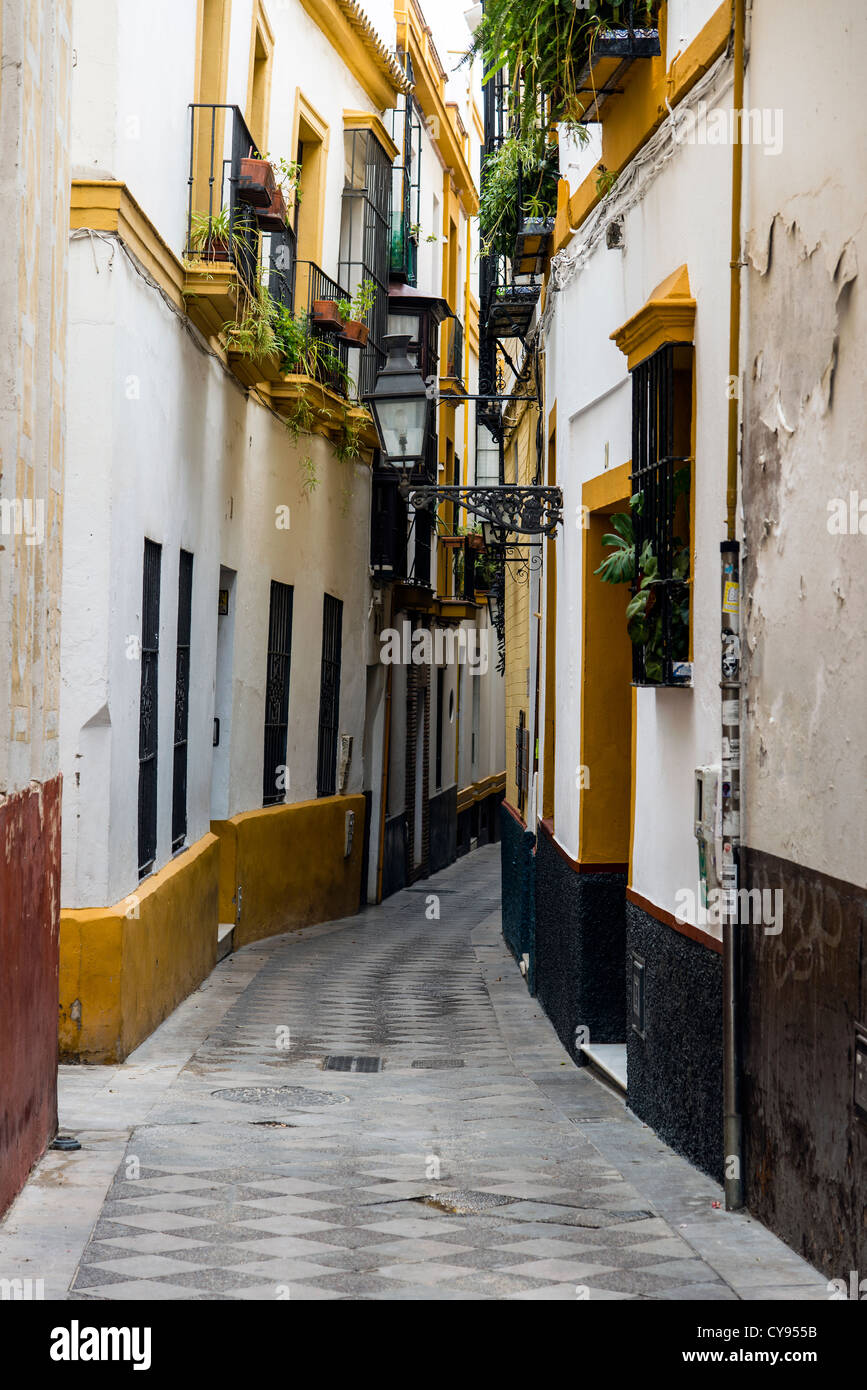 Eine malerische Gasse im alten Barrio Santa Cruz, Sevilla, Andalusien, Spanien Stockfoto