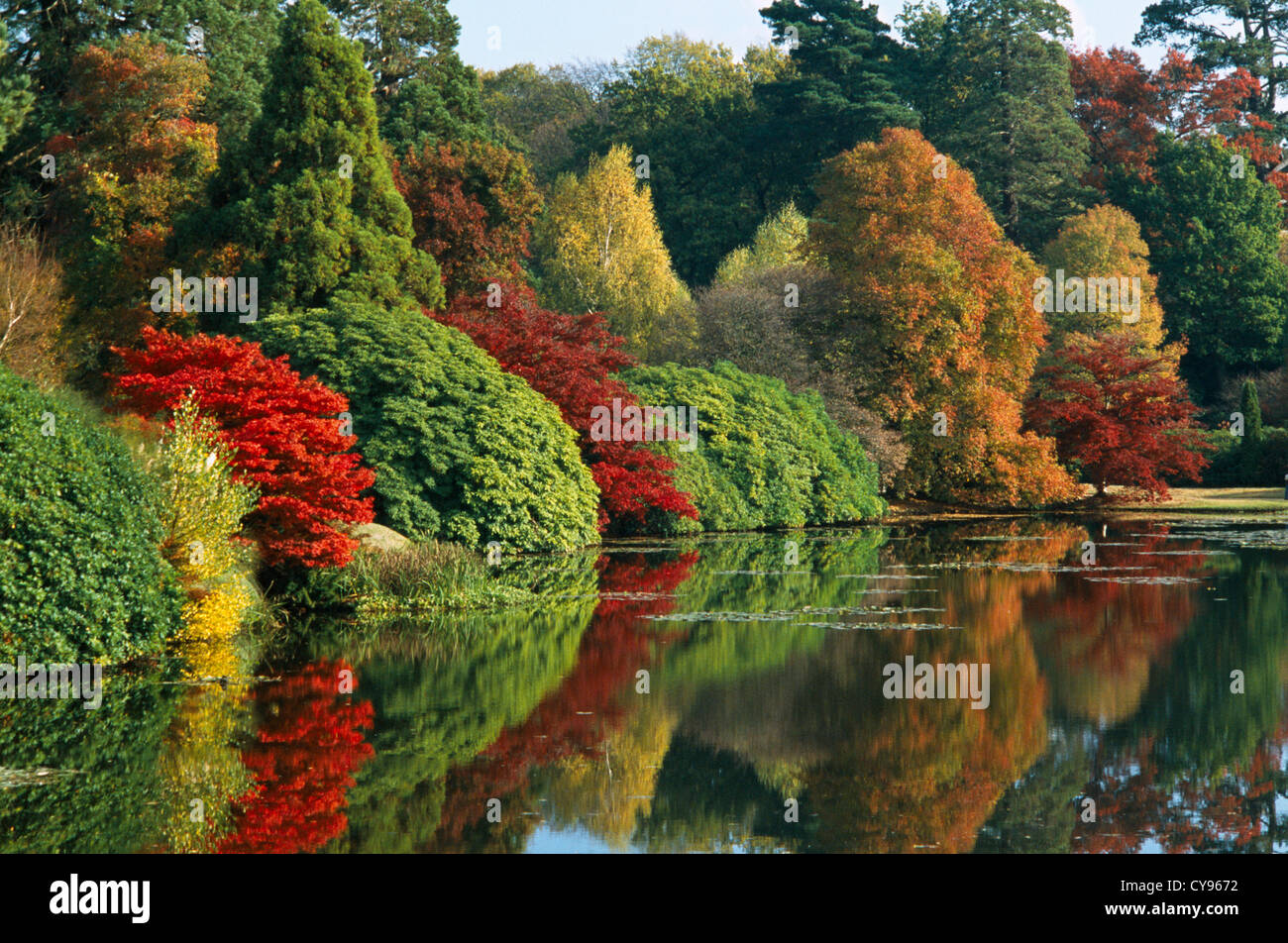 Baum, Baum. Stockfoto
