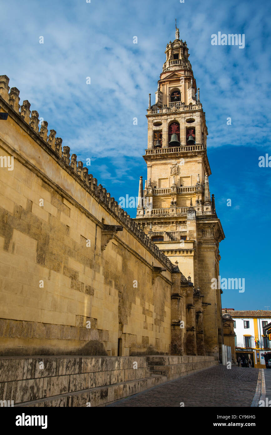 Blick auf Torre del Alminar Glockenturm, Mezquita-Kathedrale, Córdoba, Andalusien, Spanien Stockfoto