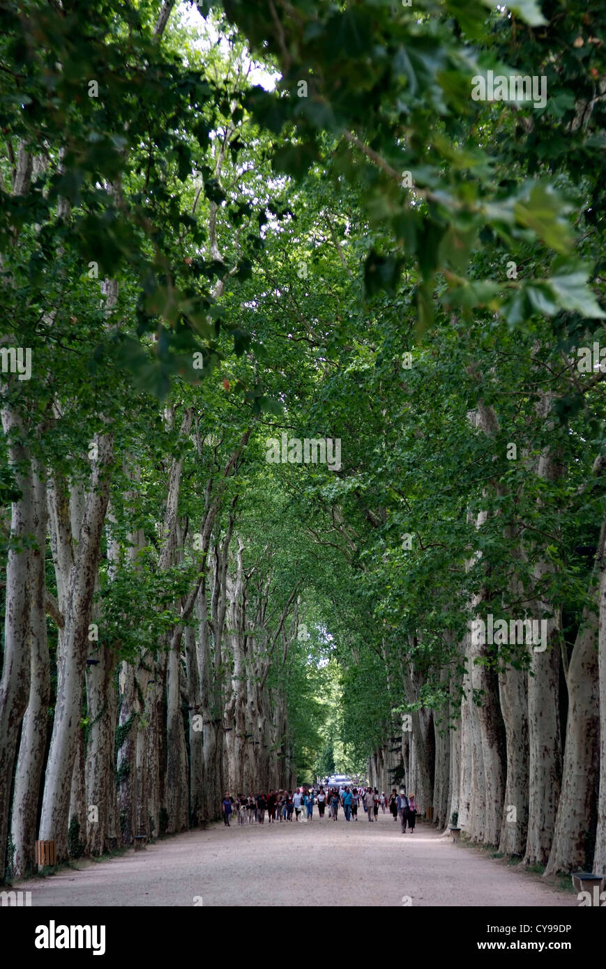 Frankreich Château de Chenonceau ist ein Herrenhaus in der Nähe des kleinen Dorfes Chenonceaux, Loire-Tal. Stockfoto