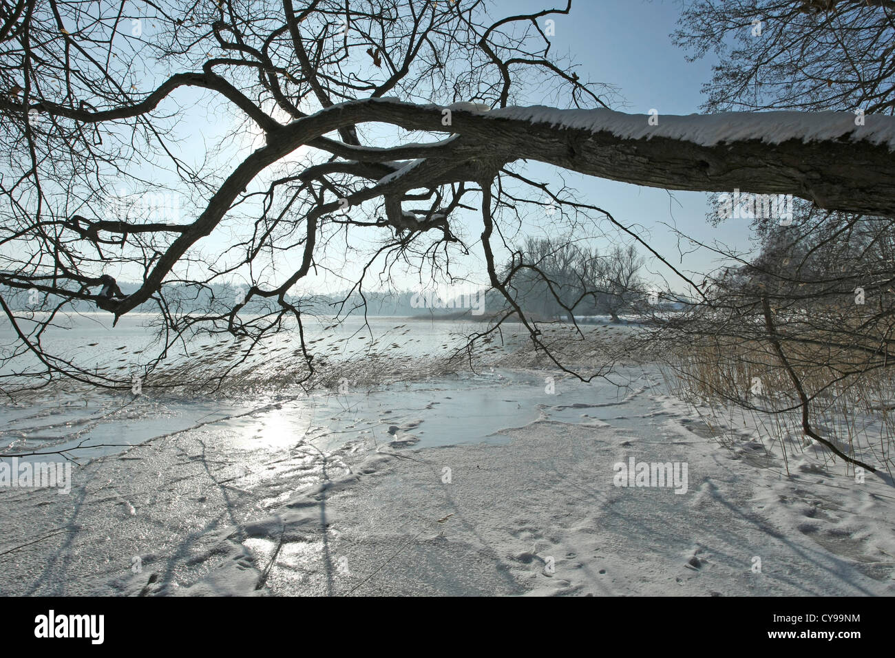 Breiter Luzin, Feldberger Seenlandschaft, Landkreis Mecklenburgische Seenplatte, Mecklenburg-Vorpommern, Deutschland Stockfoto