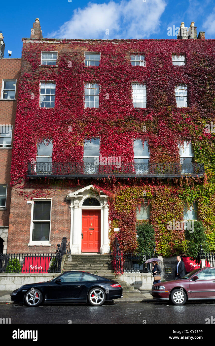 Efeu bedeckt Georgian House am St. Stephens Green in Dublin Irland Stockfoto