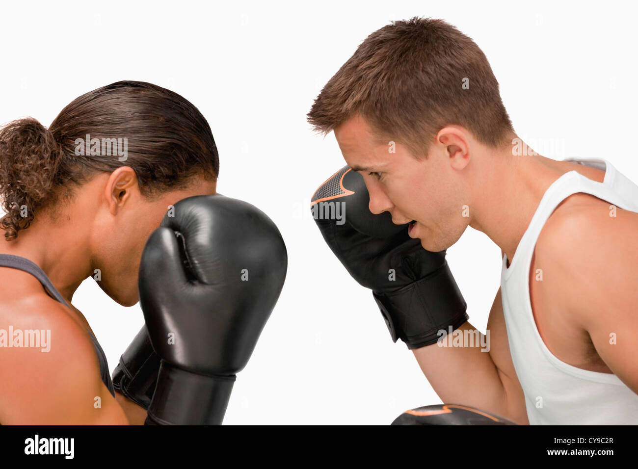 Seitenansicht der beiden Boxer Stockfoto