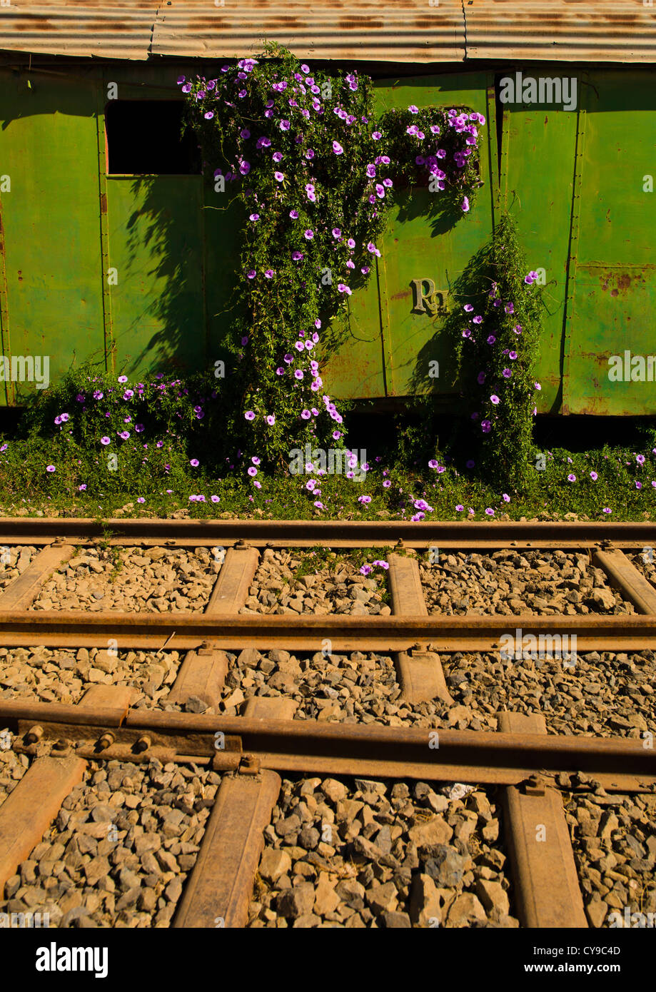 Alten Zug In Asmara Train Station, Eritrea Stockfoto