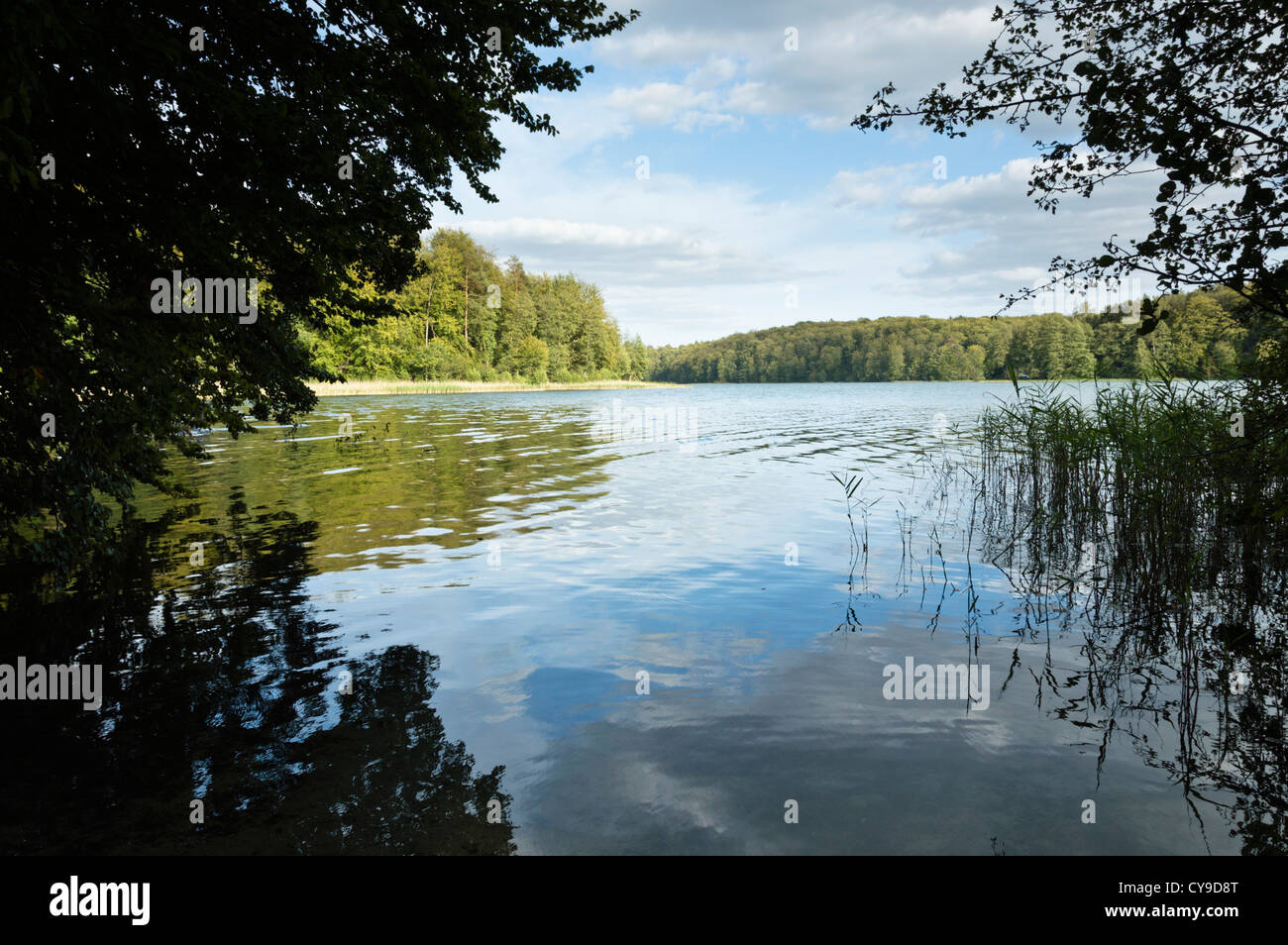 See liepnitzsee, Land Brandenburg, Deutschland Stockfoto