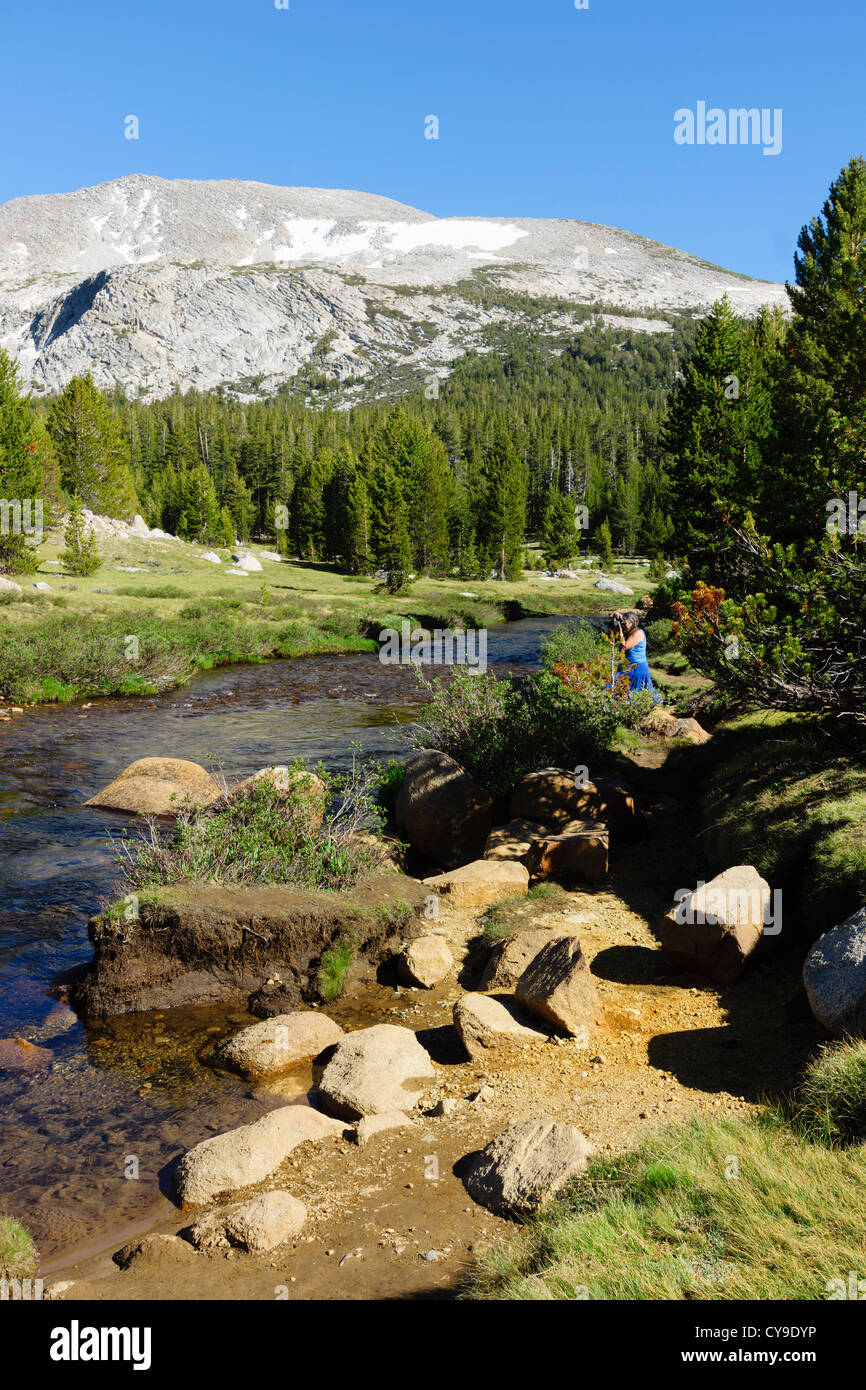 Tioga Pass aus Mono-Becken zum Yosemite, Route 120 - Tuolumne River und Wiesen. Kuna Crest Berge im Hintergrund. Stockfoto