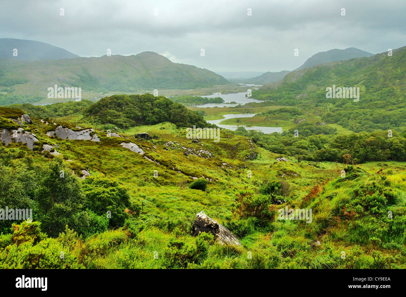 Seen von Killarney, Killarney National Park, County Kerry, Irland. Stockfoto