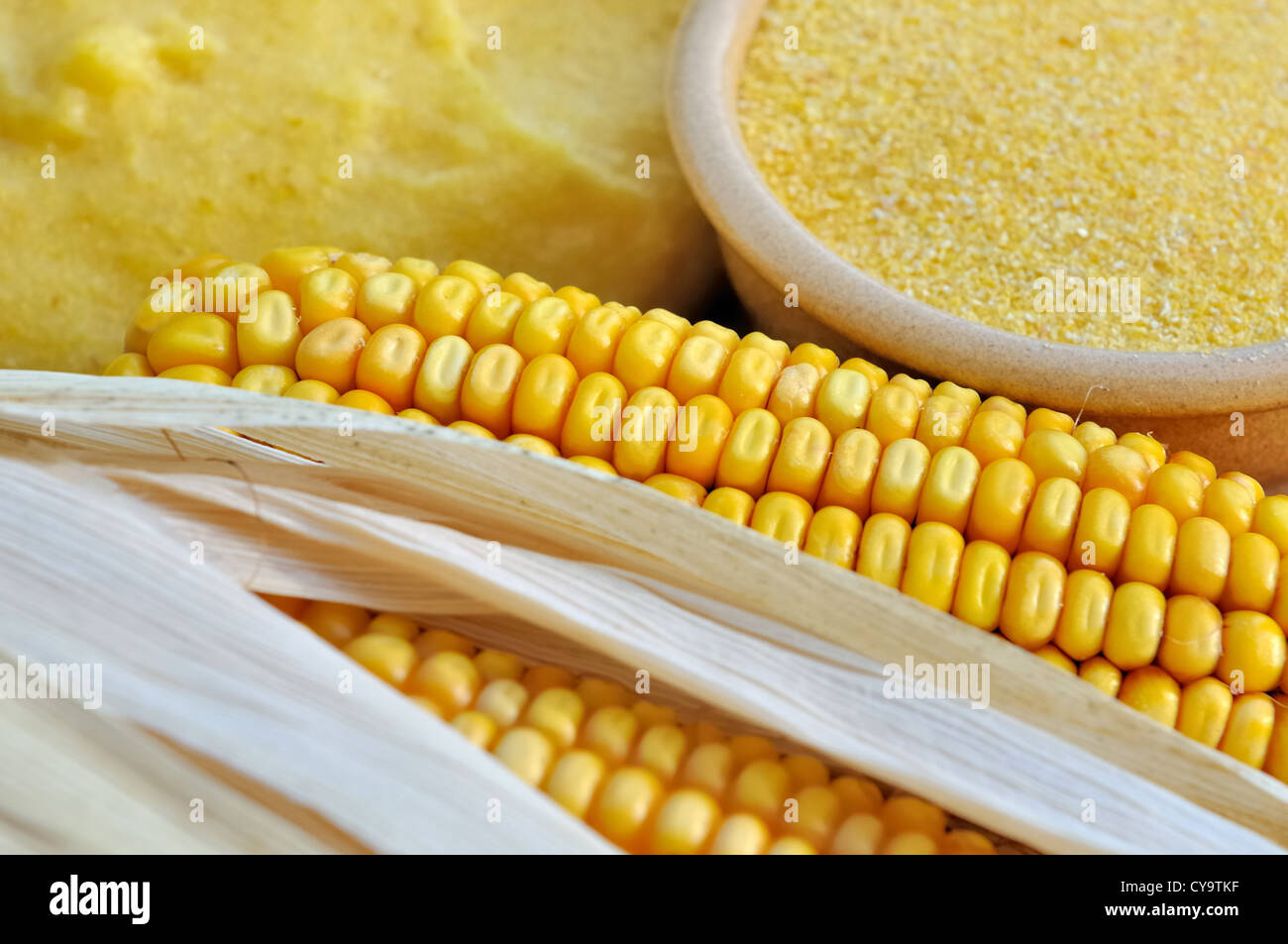 Maiskolben zwischen Mehl und polenta Stockfoto