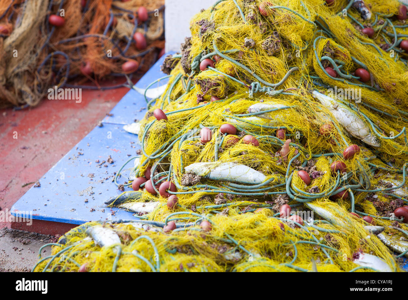 Nachhaltig gefangenen Fisch in einem Netz an Bord ein kleinen traditionellen griechischen Fischerboot im Hafen von Myrina, Limnos, Griechenland. Stockfoto
