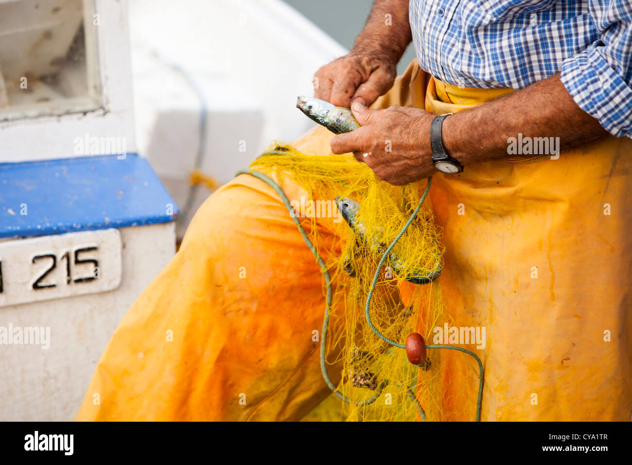 Nachhaltig gefangenen Fisch in einem Netz an Bord ein kleinen traditionellen griechischen Fischerboot im Hafen von Myrina, Limnos, Griechenland. Stockfoto