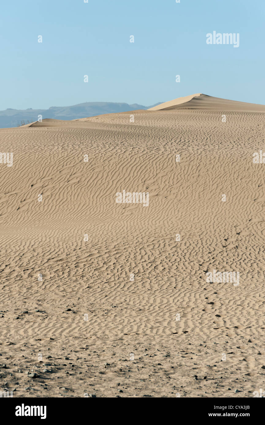 Die Sanddünen in Maspalomas Gran Canaria Kanaren Spanien, wie eine Mini-Sahara-Wüste Stockfoto