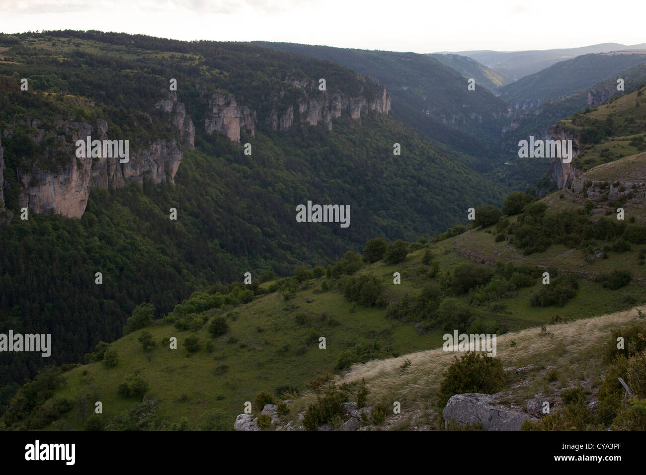 Landschaft der Cevennen Nationalpark, Frankreich Stockfoto