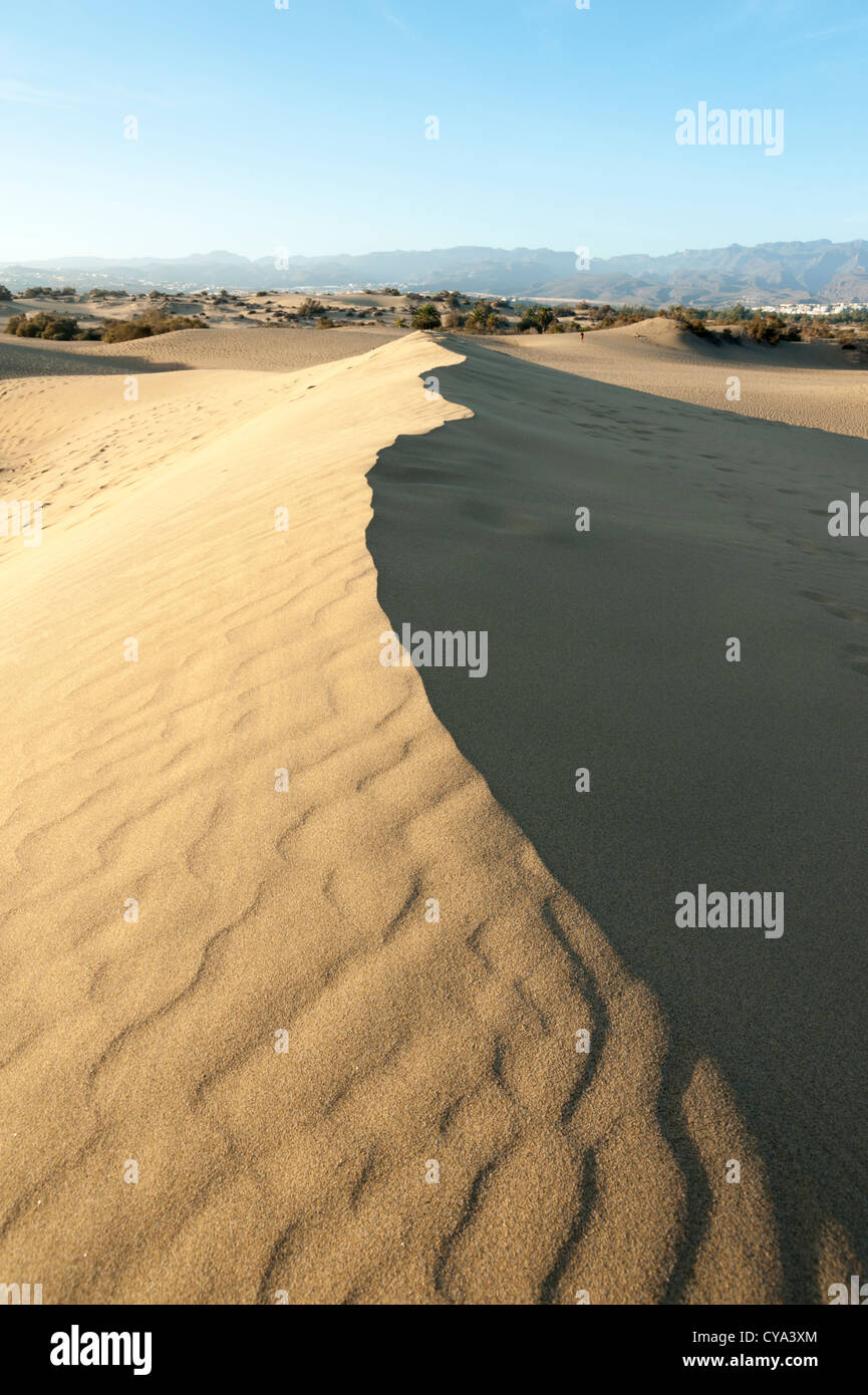 Die Sandunes in Maspalomas Gran Canaria Kanaren Spanien, wie eine Mini-Sahara-Wüste Stockfoto