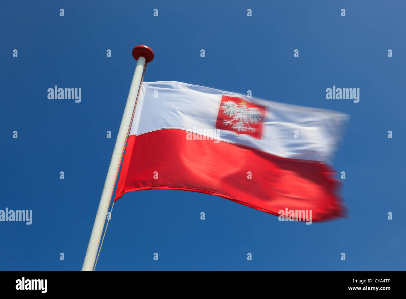 Polnische Flagge im Wind wehende. Stockfoto