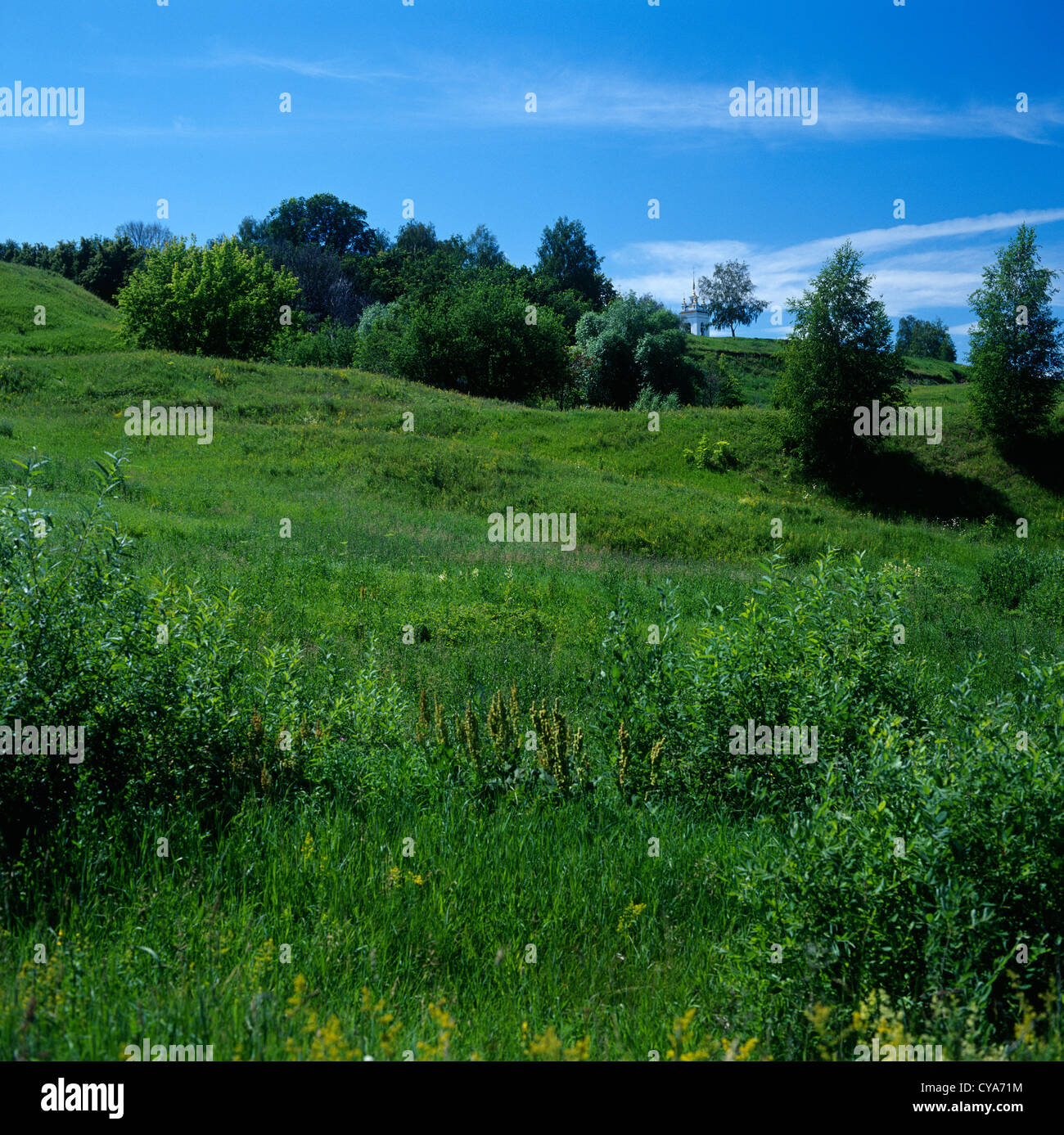 OKA-Ufer bei Konstantinovo Stockfoto