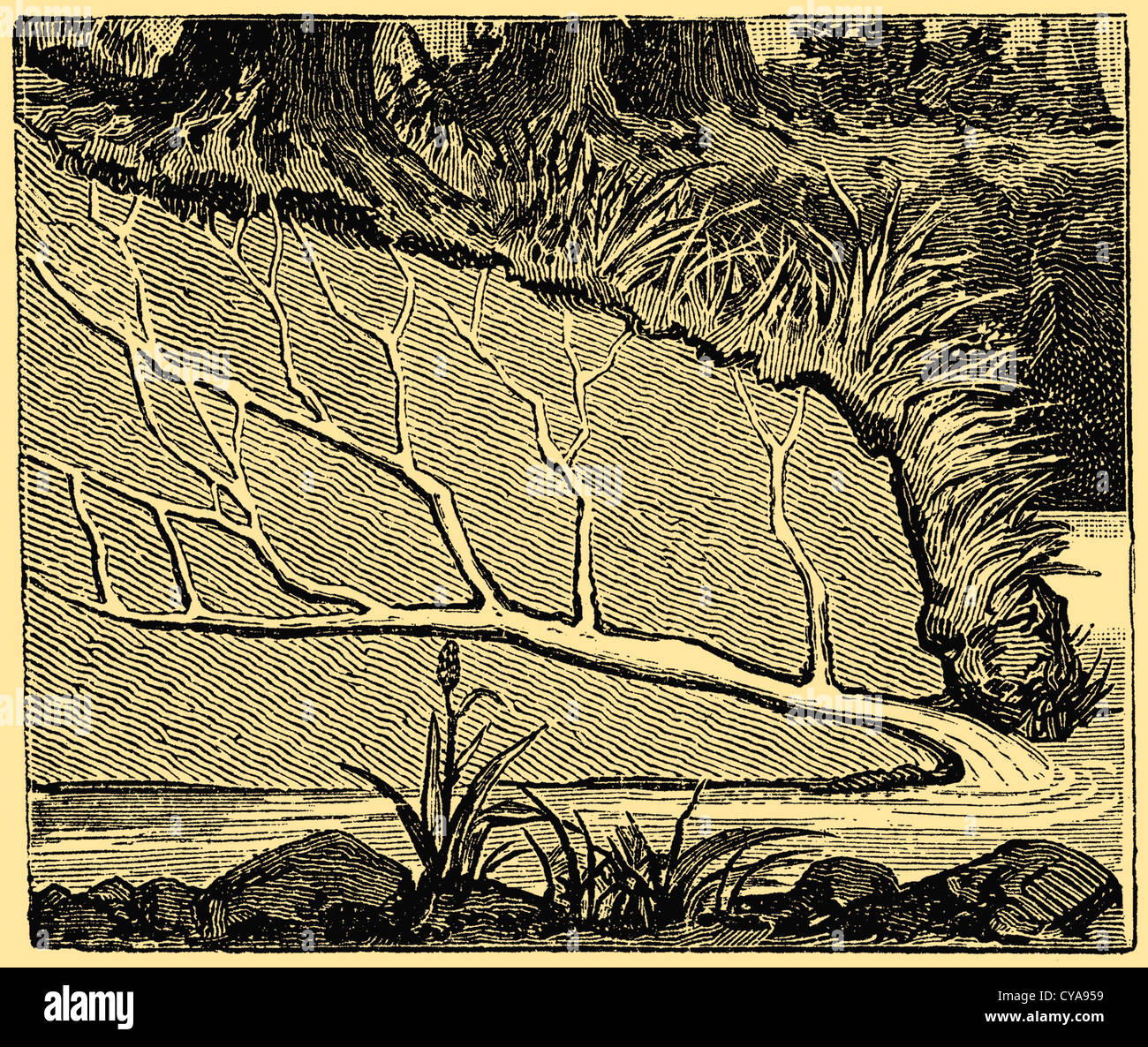 Schema: Wasser-Quelle, gebildet durch sickert Wasser System Stockfoto