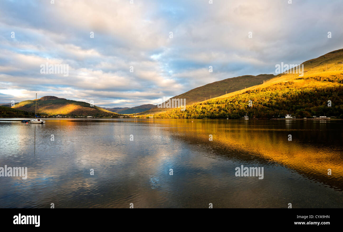 Am frühen Morgen Licht auf die Herbstfarben in den Wäldern des Ardmay spiegelt sich in den ruhigen Gewässern des Loch Long Stockfoto