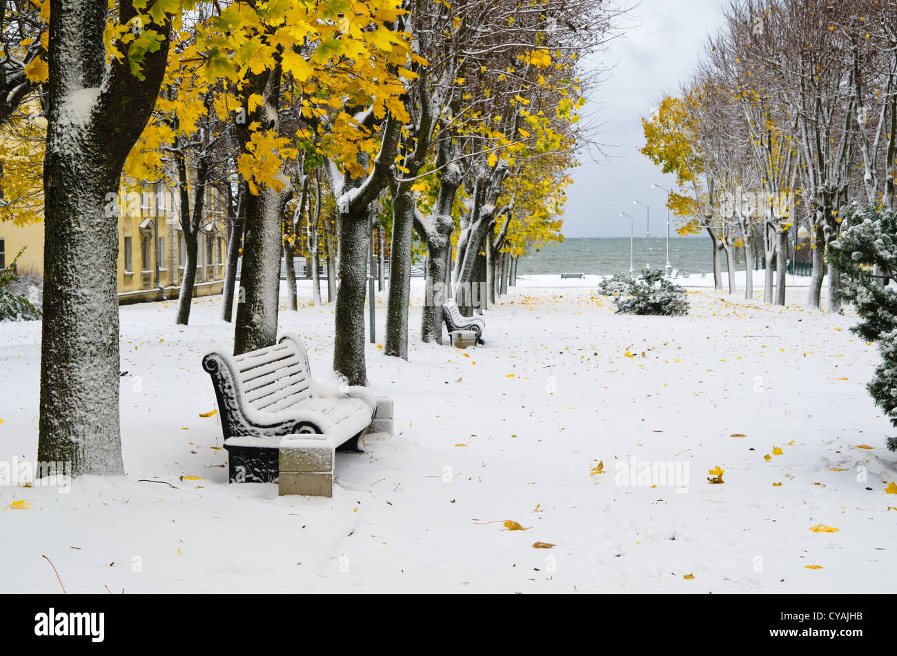 Allee im Park später im Herbst. Schnee-Sturm Stockfoto