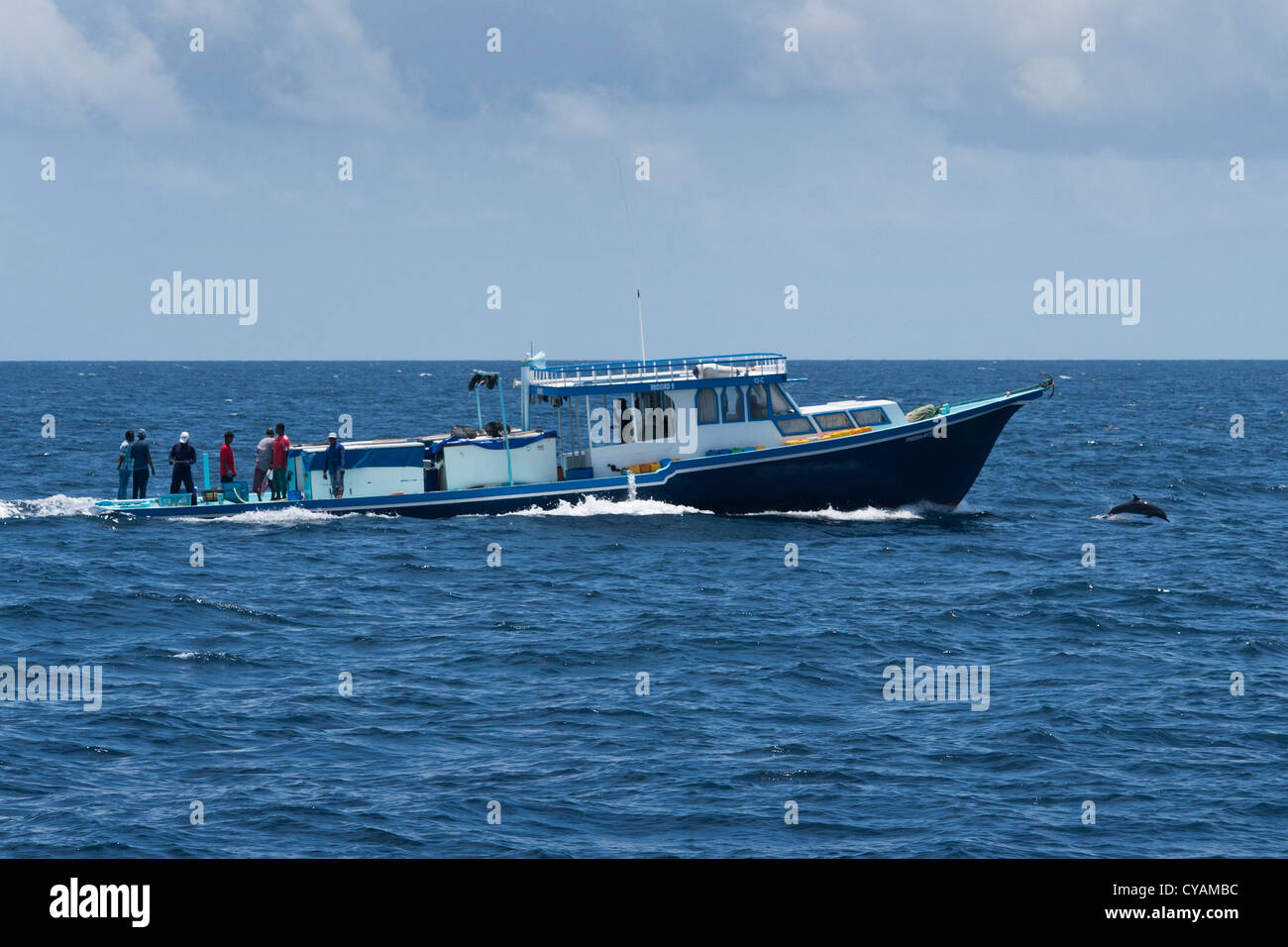 Maledivische Thunfisch Fischerboot mit pantropisch entdeckt Delphin, Stenella Attenuata, Porpoising davor. Malediven. Stockfoto