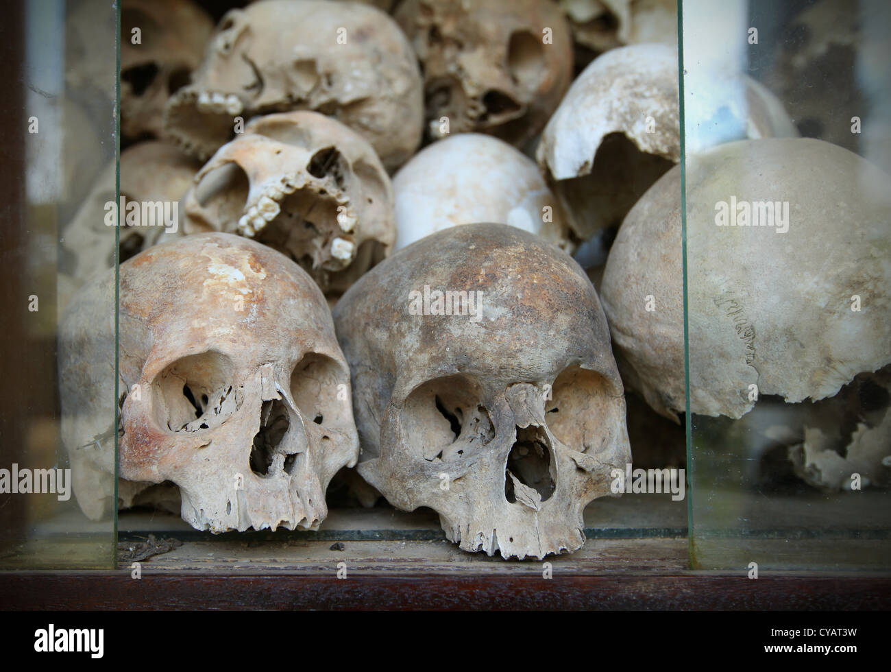 Menschliche Schädel, Skelettreste im Beinhaus, Kambodscha Stockfoto
